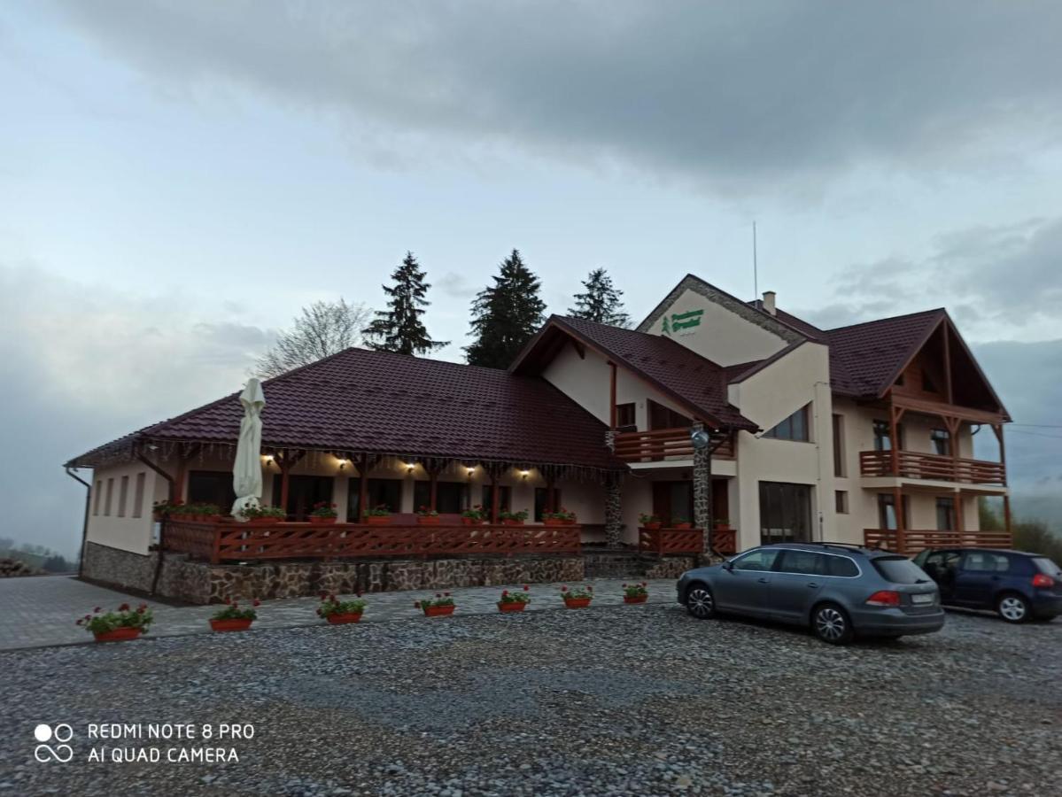 Pensiunea Bradul Dealu Stefanitei Bagian luar foto